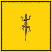 We were only trying to sleep