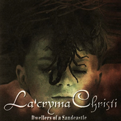 Dwellers of a Sandcastle