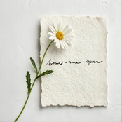 Bem-Me-Quer - Single