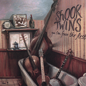 This Town by Shook Twins