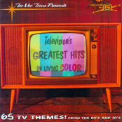 Television's Greatest Hits 5: In Living Color
