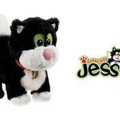 jess the cat