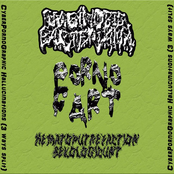 CyberPornoGraphic Hallucinations (3 Ways Split)