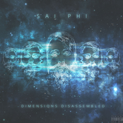 Dimensions Disassembled