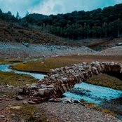 mentre i monsoni curano e scuotono l'erba rimasta, - EP