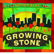 Nation Beat: Growing Stone