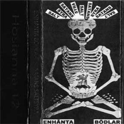 Satans Saltsyra