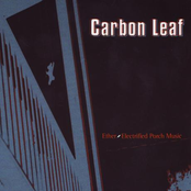 For Your Violin by Carbon Leaf
