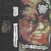 Baptised in Formaldehyde