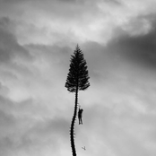 Manchester Orchestra: A Black Mile to the Surface