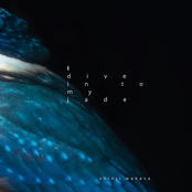 I Dive In To My Jade