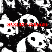 cloning pandas