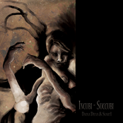 Incubi Succubi