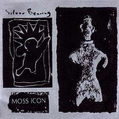 Moss Icon / Silver Bearing Split