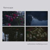 Rainscape