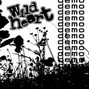 demo