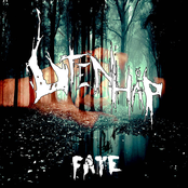 Fate