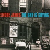 Standing At The Crossroads by Elmore James