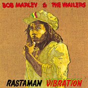 Bob Marley & the Wailers - Rastaman Vibration Artwork