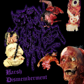 Harsh Dismemberment