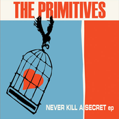 Rattle My Cage by The Primitives