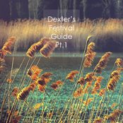 WHB Dexter's Festival Guide Pt.1 Playlist #9