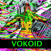 vokoid