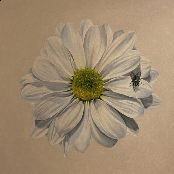 Abby Powledge: spoiling me