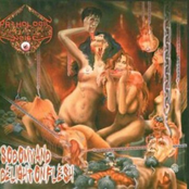 Fear Of Pain by Pathologic Noise