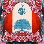 Suco de Umbu