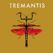 Tremantis 1