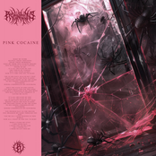 PINK COCAINE