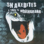 snakebites