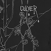 House Of Black Flowers