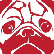 Suprise Party Collection