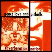Reverberation Nation