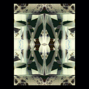 excavations from the heart of absence