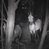 Famous Last Words (An Ode to Eaters) - Single