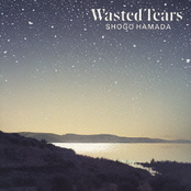 Wasted Tears
