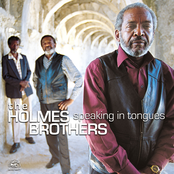 I Shall Not Walk Alone by The Holmes Brothers