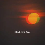 Black Hole Sun