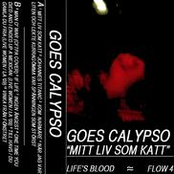 Goes Calypso