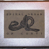 Spiral Organ of Corti