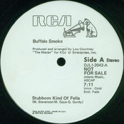 Stubborn Kind Of Fella