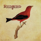 You Are The Everything (r.e.m.) by Redbird