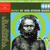 More Of Our Stupid Noise