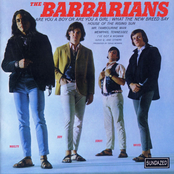 Mr. Tambourine Man by The Barbarians