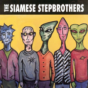 What Are We Looking At? by The Siamese Stepbrothers