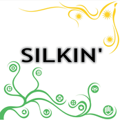 Silkin'