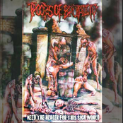 Need a Healer for This Sick World